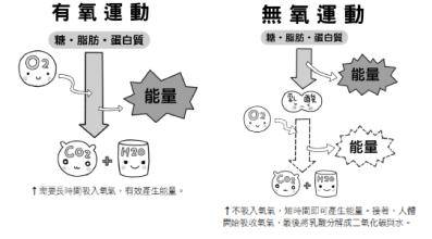 有氧运动 排酸效果_有氧运动排酸_有氧运动排酸还是无氧运动排酸